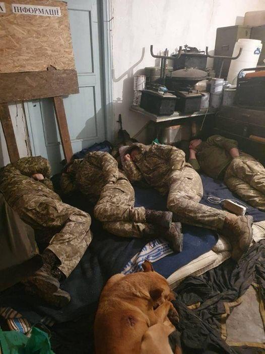 Hrabri ukrajinski vojnici spavaju između bitaka, vjerni psi im prave društvo