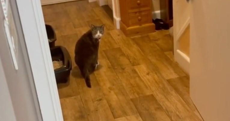 Žena kamerom snimila mačku koja je doziva kad je ne može pronaći
