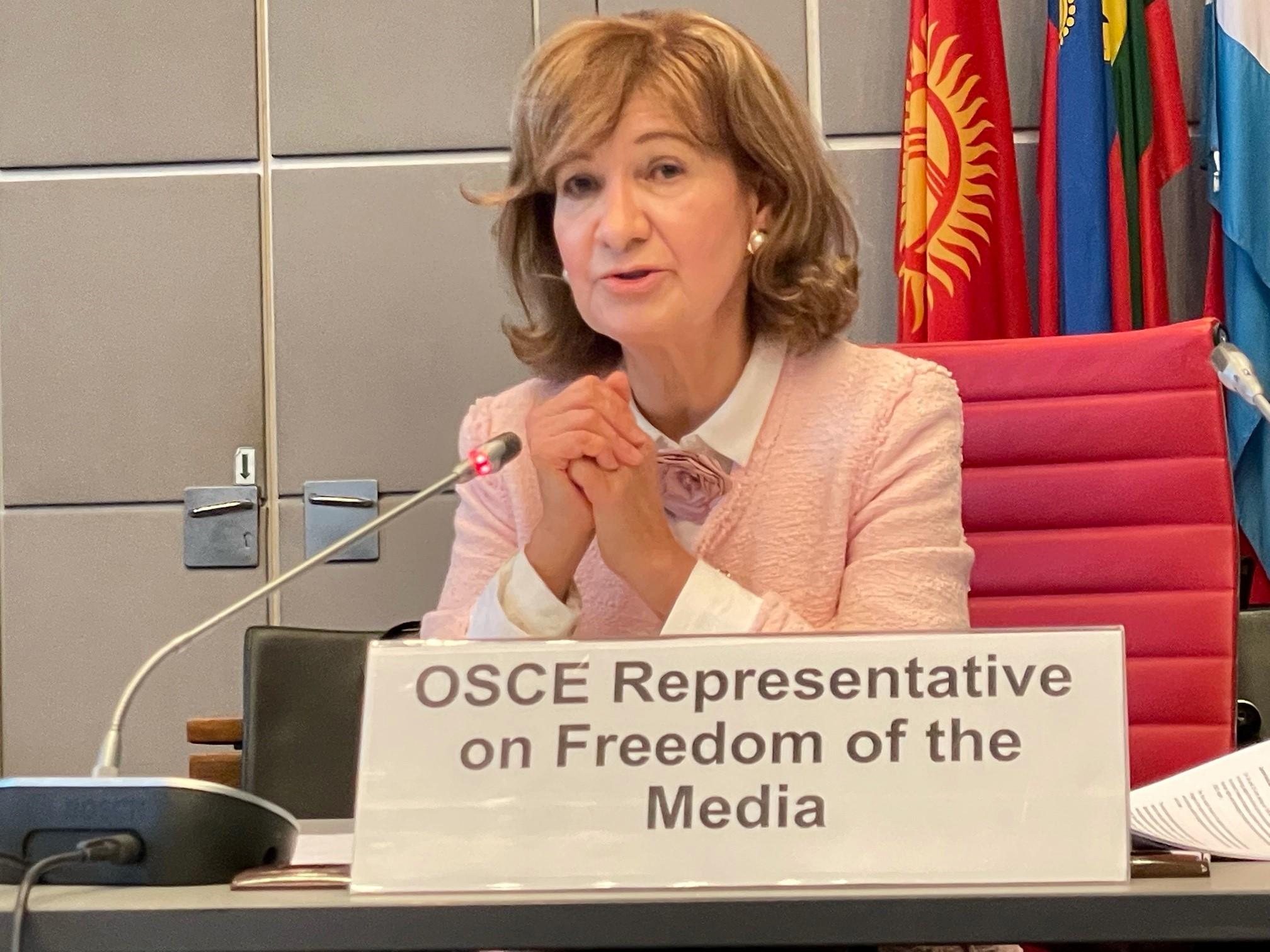 Predstavnica OSCE-a za slobodu medija Teresa Ribeiro stiže u BiH