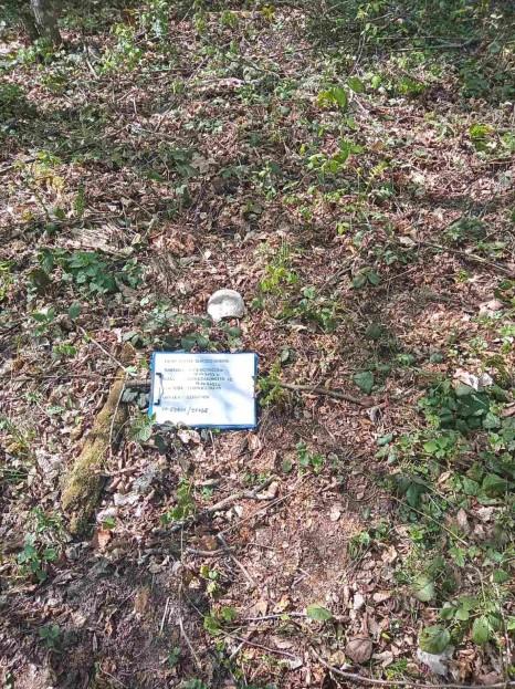 Na području Srebrenice pronađene kosti lobanje jedne osobe