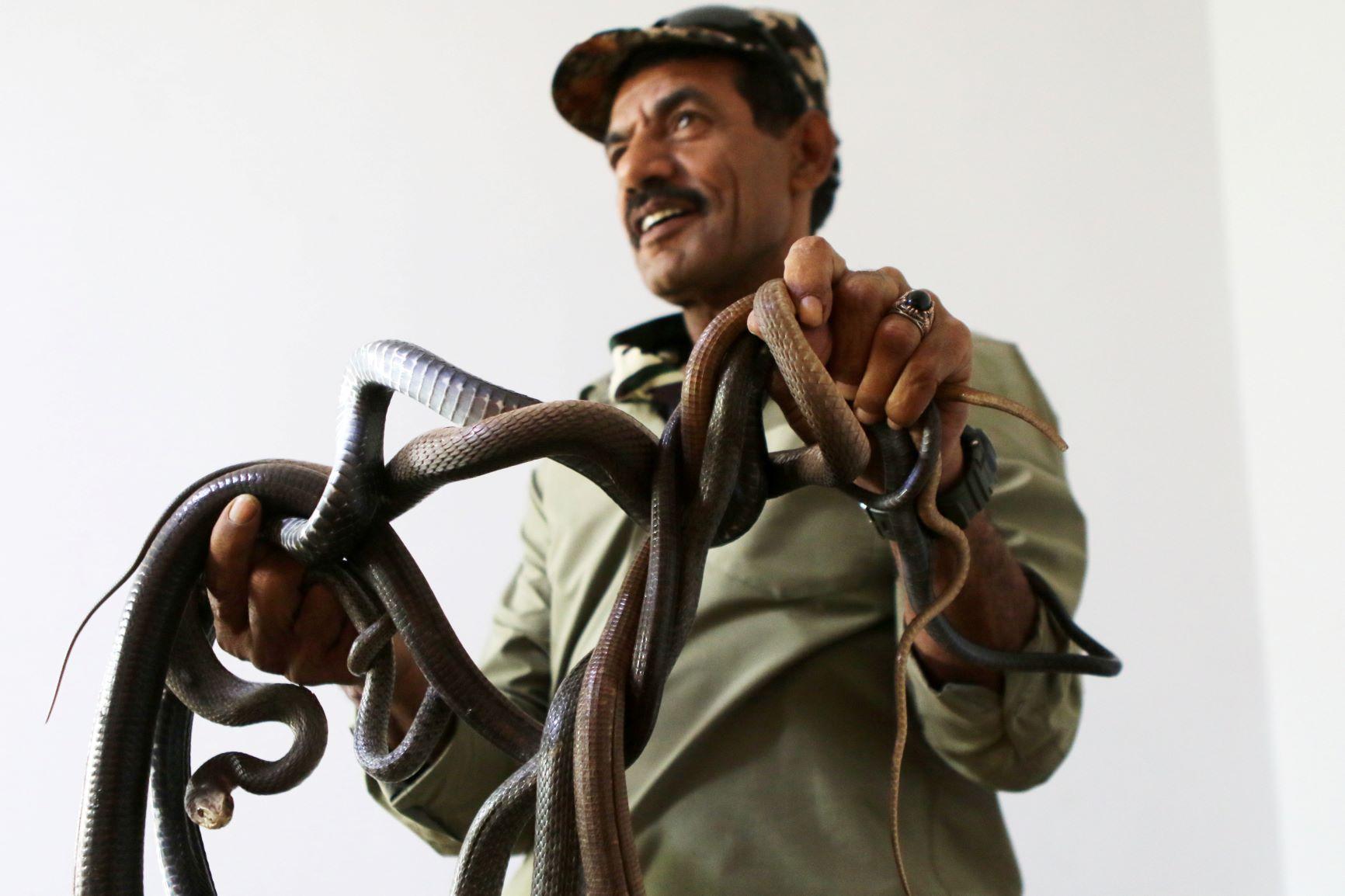 Jordanac 33 godine u kući živi sa zmijama - Avaz