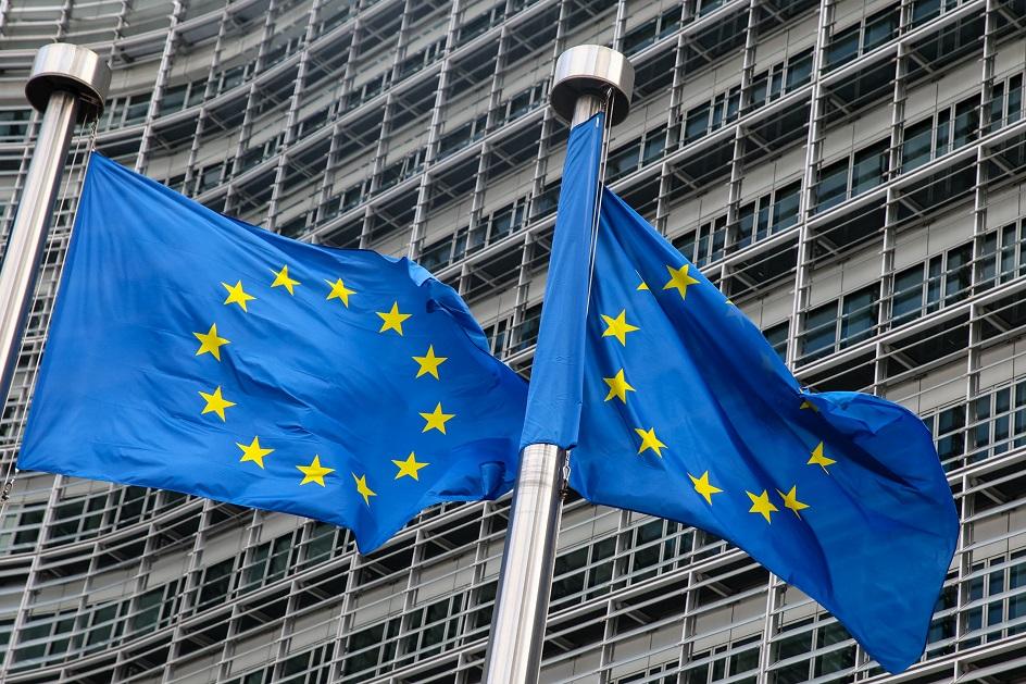Europarlamentarci predstavili prijedloge novog izbornog zakona - Avaz