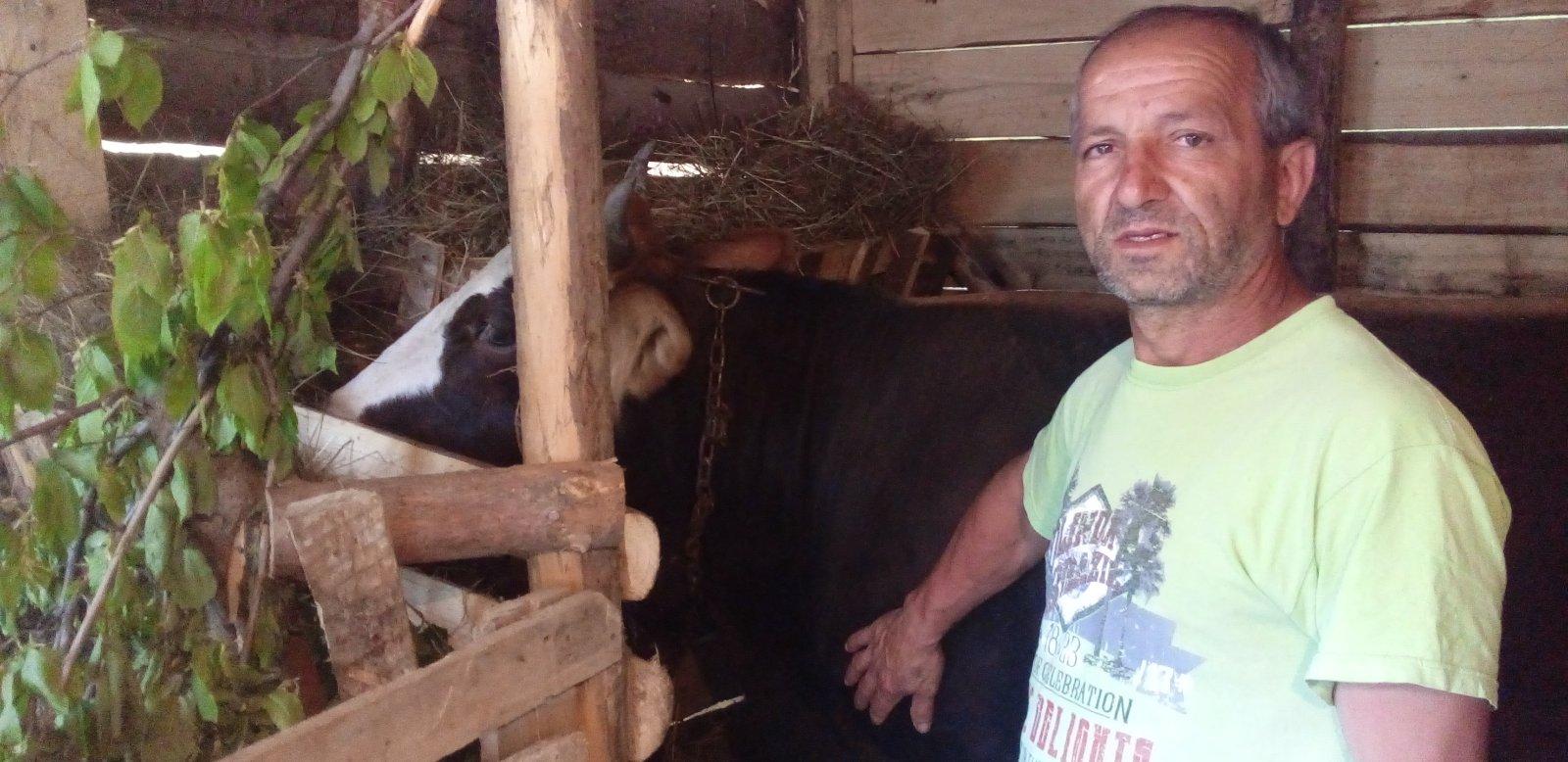 Humanost na djelu: Udruženje Pomozi.ba doniralo kravu Munibu Krehmiću iz Željeznog Polja