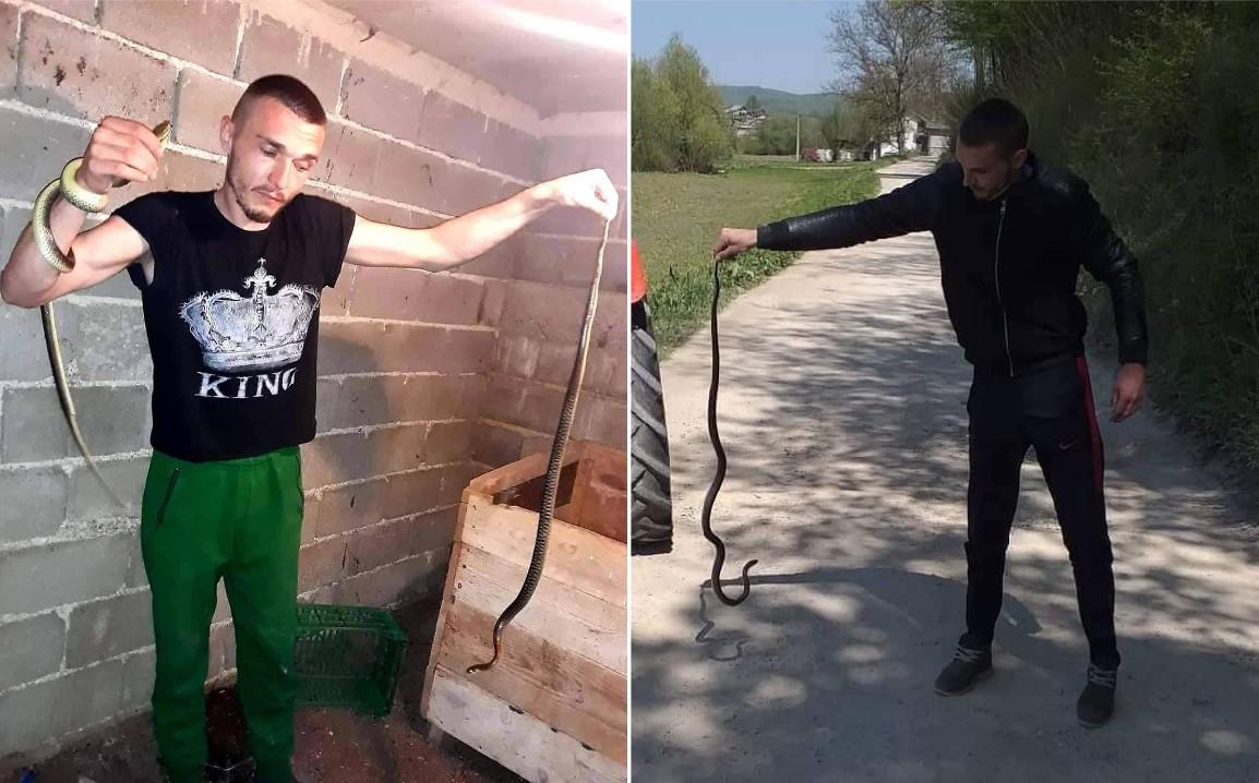 Aldin Begović zmije hvata rukama: Komšija ih vidi, pa mene zovne da ih sklonim