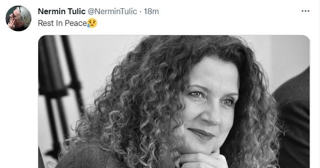 Objava Nermina Tulića - Avaz