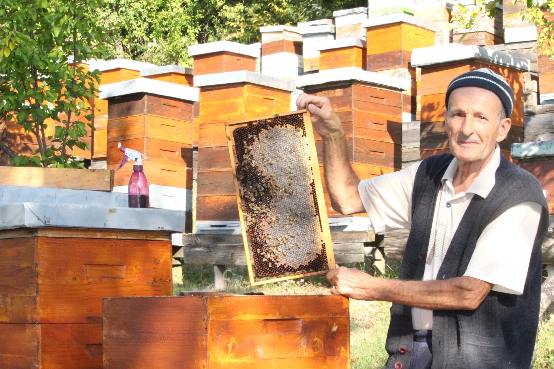 Pčelari konačno dočekali plodonosnu godinu: Hoće li kilogram meda biti 30 KM