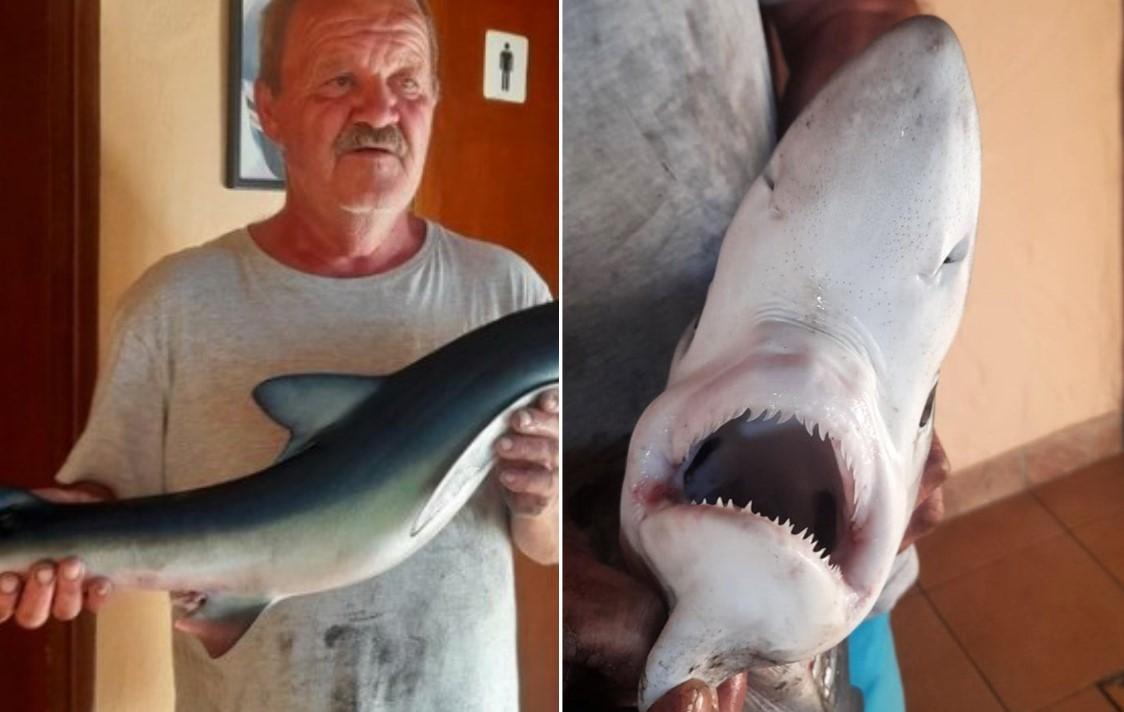 Ribolovac ulovio morskog psa, nakon toga naišao je još jedan, mnogo veći i zaljuljao mu barku