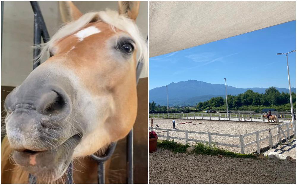 Posjetili smo konjički klub "Lazy horse", gdje je Vlada KS održala sjednicu