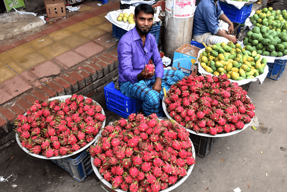 Bangladeš: Komercijalni uzgoj egzotičnog zmajevog voća u brdima Khagrachari