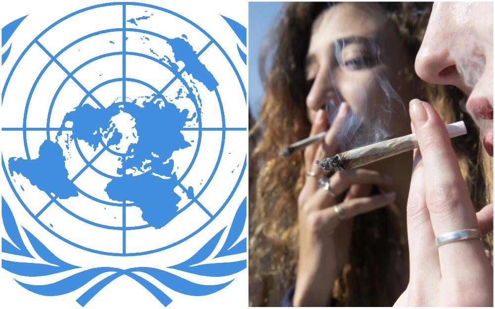 Ujedinjene nacije o drogama - Avaz