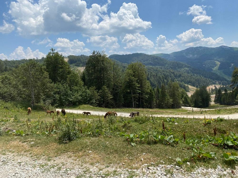 Ekipa "Avaza" posjetila planinu Bjelasicu u Crnoj Gori - Avaz
