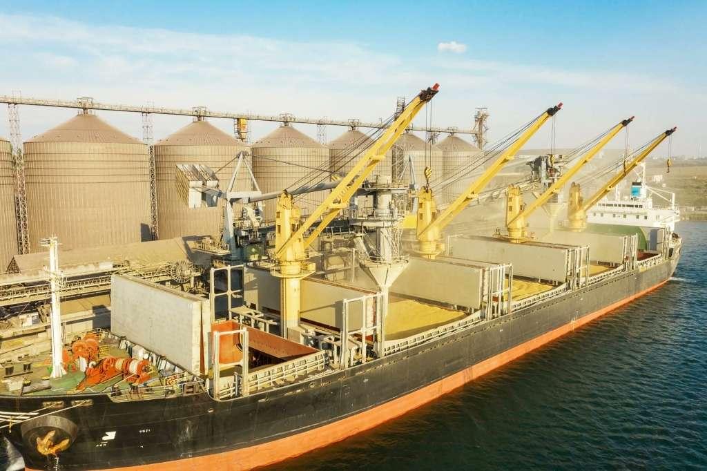 Izvoz žitarica brodom - Avaz