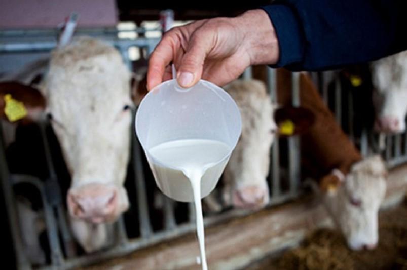 BiH najviše izvozi mlijeko - Avaz