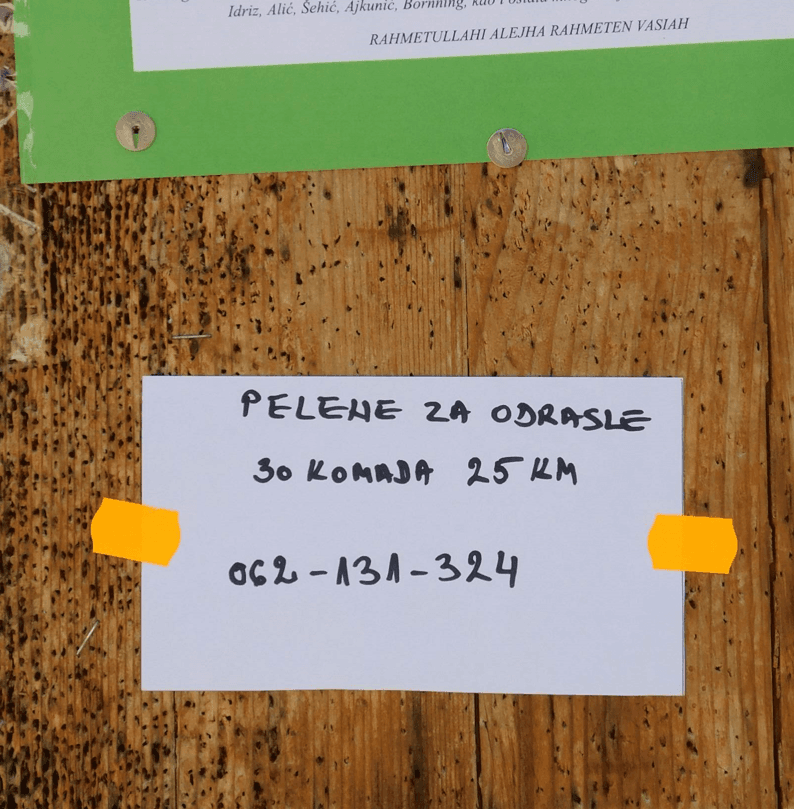 Oglas za prodaju pelena na ulazu u Begovu džamiju - Avaz