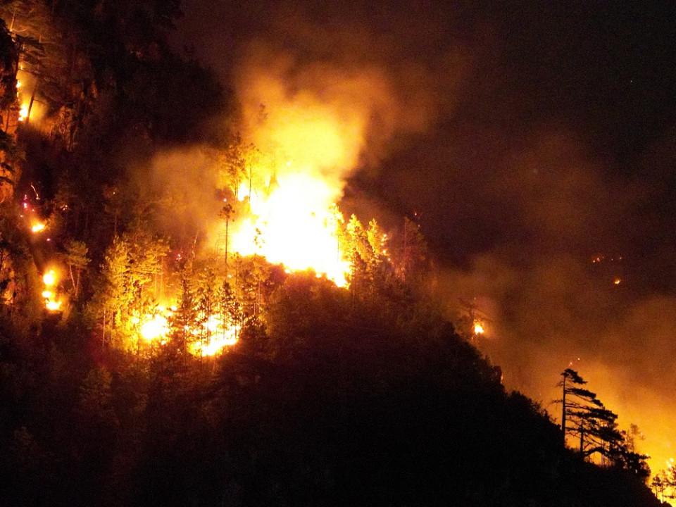 Dramatične slike s požarišta, vatrena stihija koja prijeti kućama - Avaz