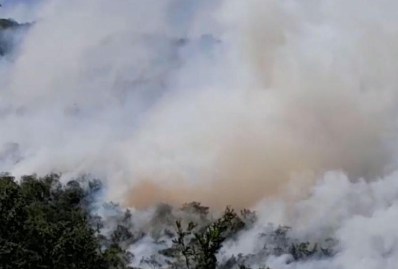 Požar u Herceg Novom: Vatrogasci na terenu, čeka se dolazak helikoptera