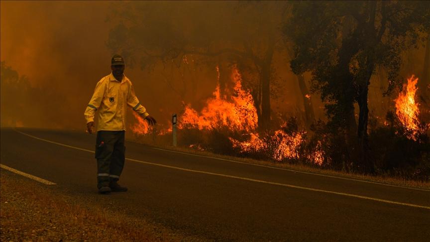 Wildfires continue to devour forests in Morocco