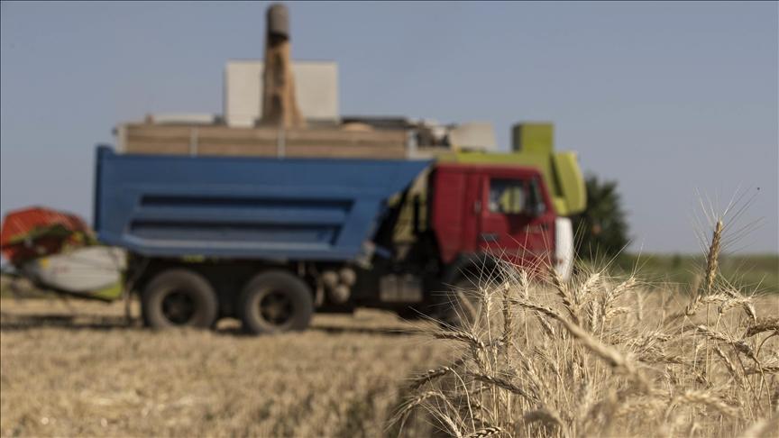 Izvoz žitarica iz Ukrajine - Avaz
