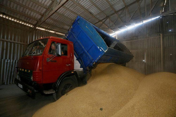 Izvoz žitarica iz Ukrajine još uvijek nije počeo, evo i zašto