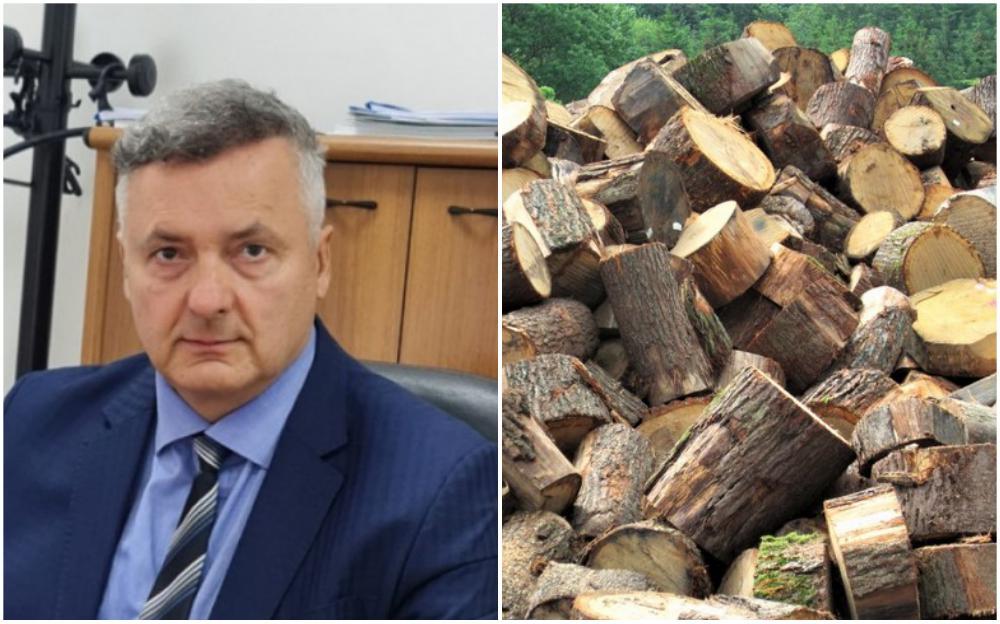 Vujanović: Peletu i ogrjevnom drvetu su nerealno visoko podignute cijene
