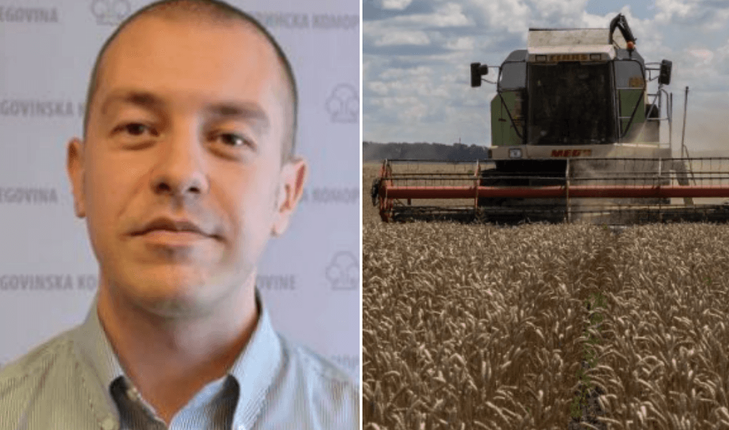 Igor Gavran za "Avaz": Početak izvoza žita iz Ukrajine ohrabruje