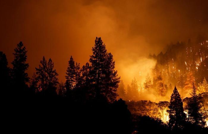 Vatra se tokom vikenda brzo proširila i opustošila je oko 52.000 hektara - Avaz