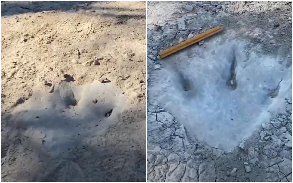 Pronađeni tragovi dinosaura visokog četiri i po metra