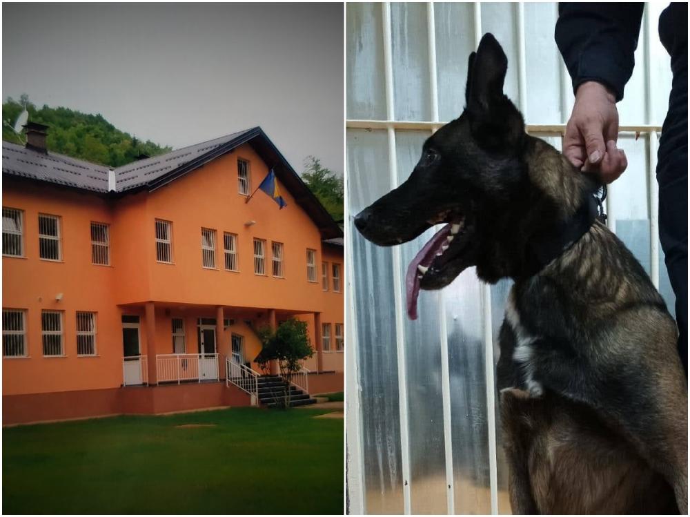 "Avaz" otkriva detalje hapšenja u KPZ Ustikolina: U kaišu pokušala prošvercovati heroin bratu, otkrio je pas