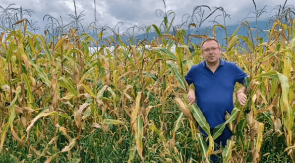 Hamdija Lipovača kandidaturu za državni parlament najavio iz polja kukuruza
