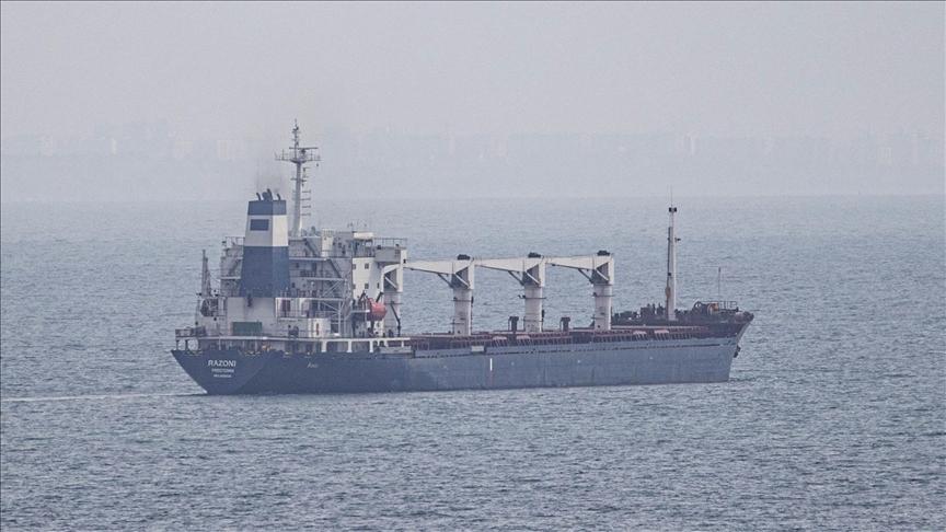 Türkiye: 12 more grain ships leave Ukraine under Istanbul deal