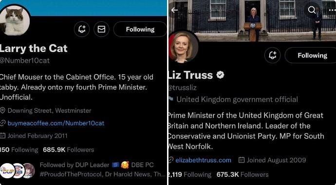 Mačak koji radi za britansku premijerku Liz Tras ima više pratilaca na Twitteru od nje