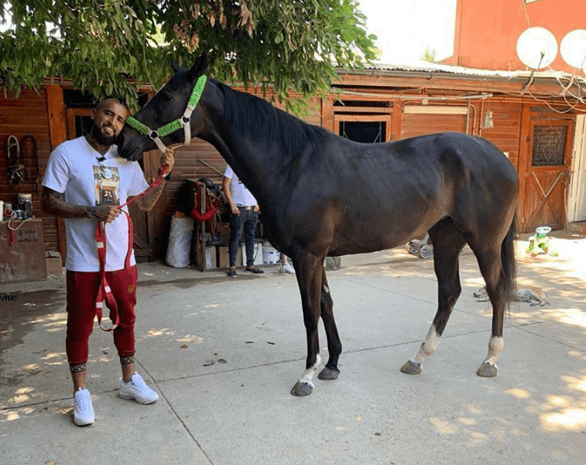 Arturo Vidal je također veliki ljubitelj konja - Avaz