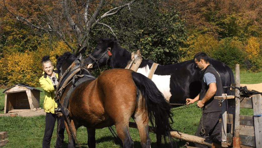 Medicinska sestra umjesto u struci radi s konjima u šumi