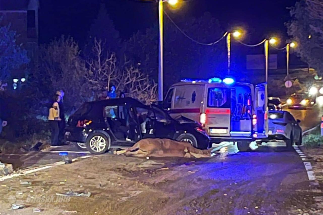 Nesreća kod Mostara: Sudarili se automobil i konj