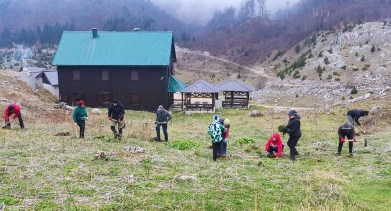 Konjički planinari zasadili 2.000 sadnica smreke, crnog bora i munike