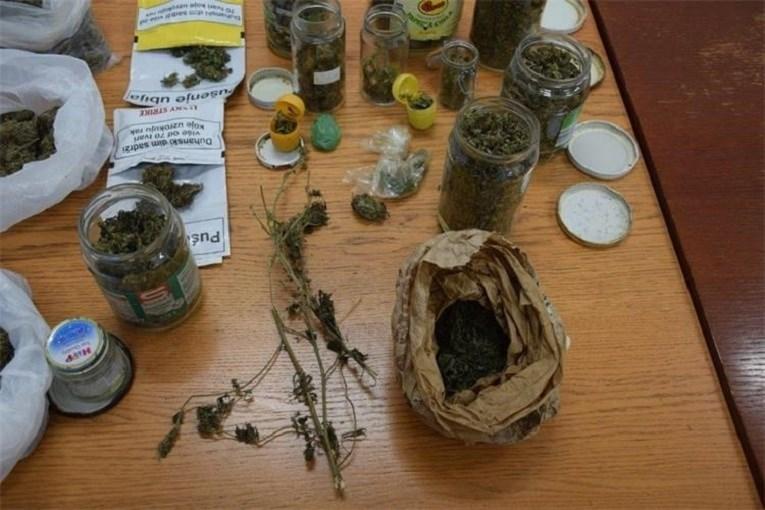 Oduzeta marihuana proslijeđena je na toksikološko vještačenje - Avaz