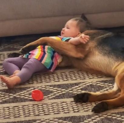 Pas i beba imaju poseban odnos - Avaz