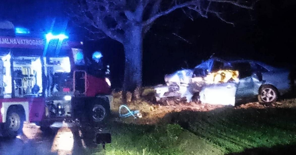 Užasna nesreća na bh. cesti: Automobilom se zabio u drvo i poginuo