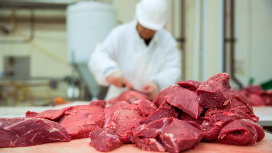 Najviše se uvozi goveđe meso - Avaz