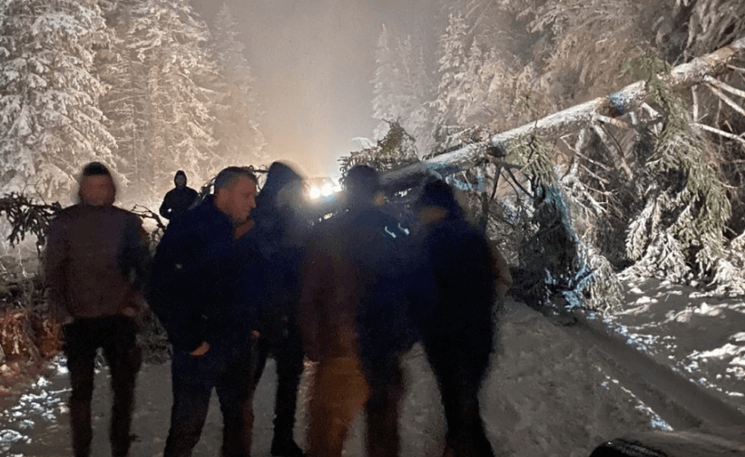 Pao prvi snijeg i odmah problemi: Drvo prepriječilo put do Vlašića