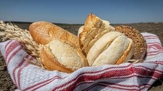 Kilogram pšenice u RS košta manje od kifle: Poslodavci se pravdaju da je to zbog povećanja minimalca