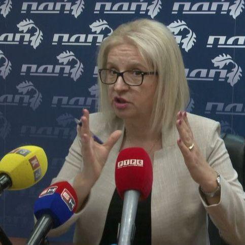 Pekić kritikovala Nešića: Dijeli sredstva bez saglasnosti Vijeća ministara