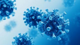 U Crnoj Gori registrirani prvi slučajevi podsojeva koronavirusa