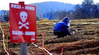 Naša zemlja jedna od minski najugroženijih u svijetu: Kada će BiH biti očišćena od mina 
