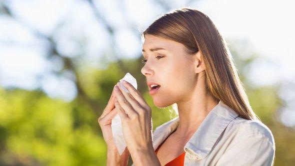 AlergijeAlergija na polen ambrozije - Avaz