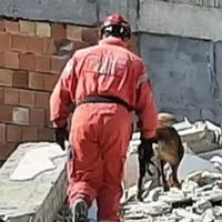 Na heroja psa Protea se obrušile ruševine iz kojih je spasio dvije osobe