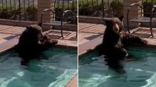 Video / Medvjed spas od vrućine našao u porodičnom bazenu