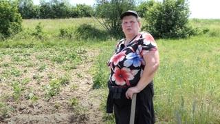 Nesreća zadesila porodicu Haznedarević: Divlje svinje su nam uništile sve preko noći