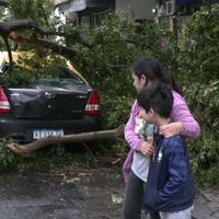 Oluja odnijela 16 života u Argentini i Urugvaju