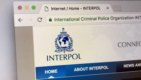 Interpol izveo operaciju "Šakal" - Avaz